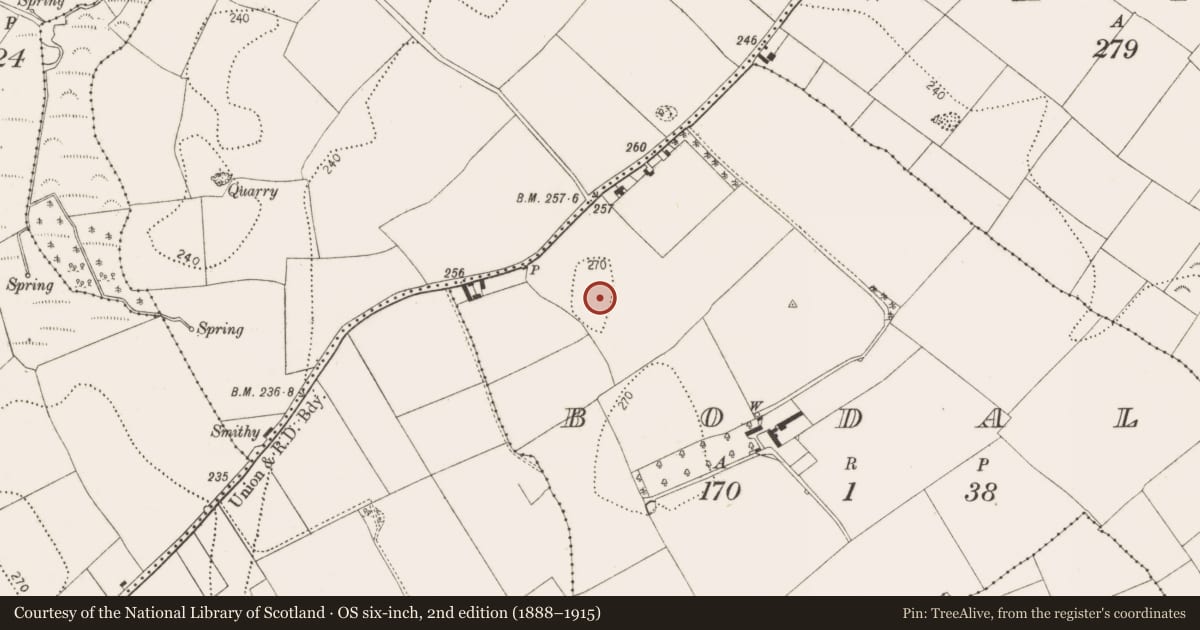 Ordnance Survey six-inch map, 2nd edition (1888–1915) covering the location of Enclosure, Bodal, County Kilkenny, with a pin at the register's coordinates