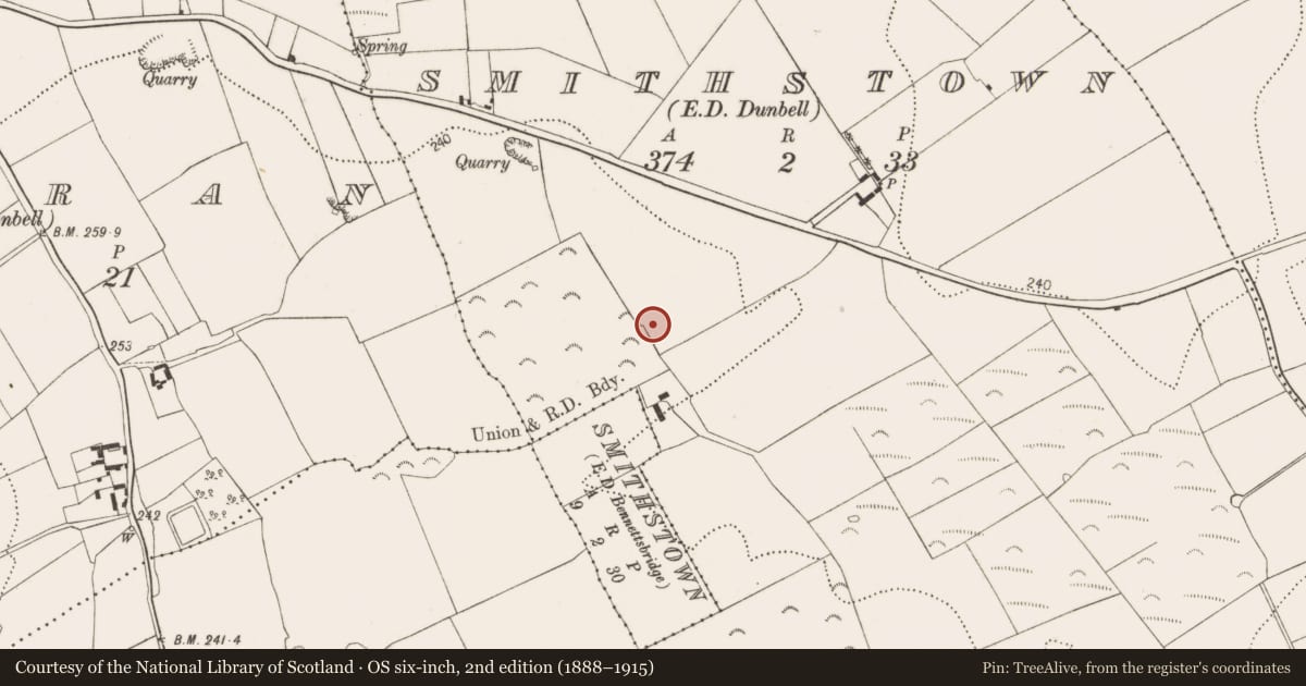 Ordnance Survey six-inch map, 2nd edition (1888–1915) covering the location of Ring-ditch, Smithstown, County Kilkenny, with a pin at the register's coordinates