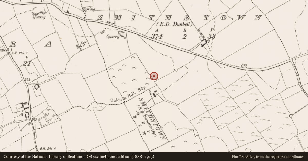 Ordnance Survey six-inch map, 2nd edition (1888–1915) covering the location of Ring-ditch, Smithstown, County Kilkenny, with a pin at the register's coordinates