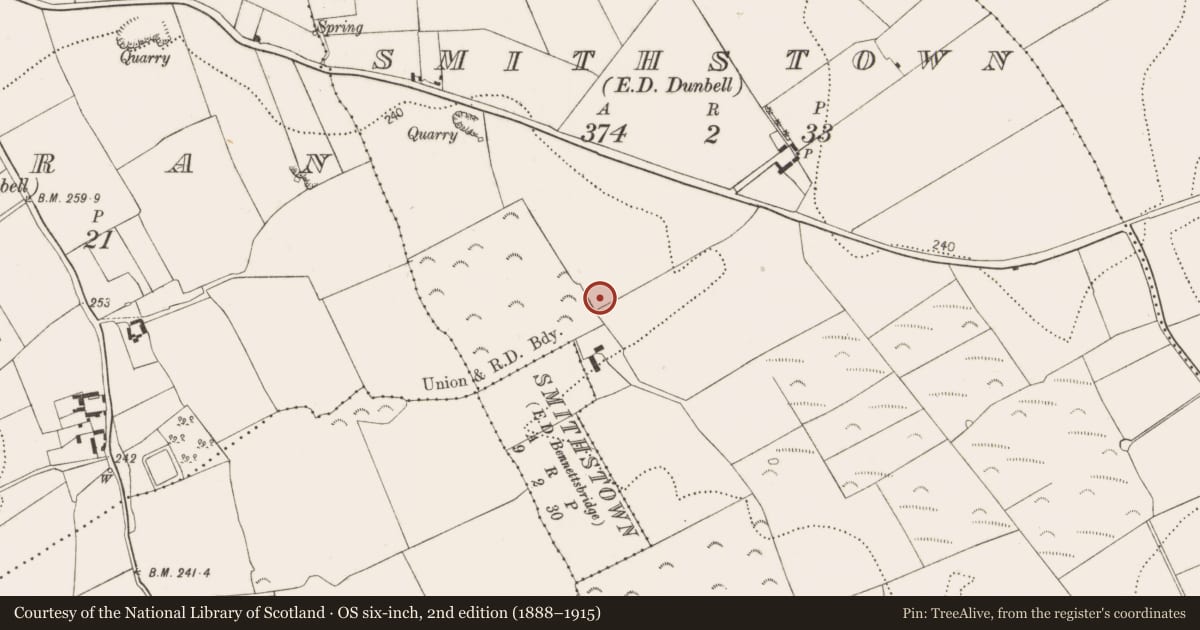 Ordnance Survey six-inch map, 2nd edition (1888–1915) covering the location of Ring-ditch, Smithstown, County Kilkenny, with a pin at the register's coordinates
