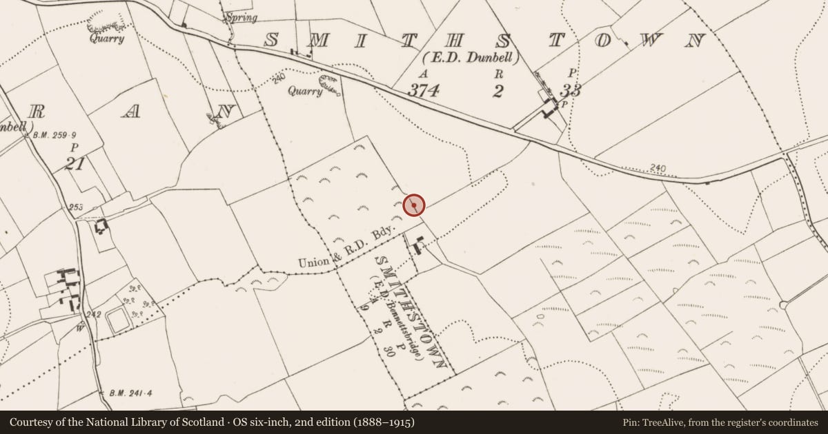 Ordnance Survey six-inch map, 2nd edition (1888–1915) covering the location of Ring-ditch, Smithstown, County Kilkenny, with a pin at the register's coordinates