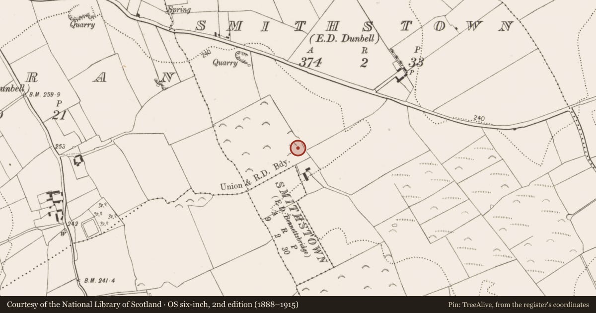 Ordnance Survey six-inch map, 2nd edition (1888–1915) covering the location of Ring-ditch, Smithstown, County Kilkenny, with a pin at the register's coordinates