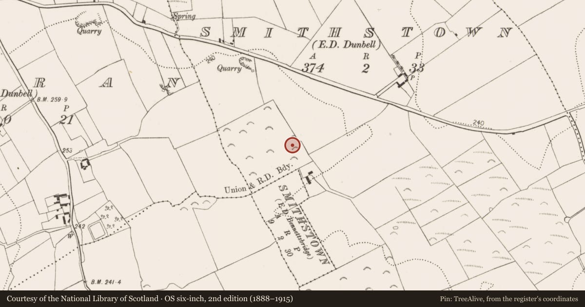 Ordnance Survey six-inch map, 2nd edition (1888–1915) covering the location of Excavation - miscellaneous, Smithstown, County Kilkenny, with a pin at the register's coordinates