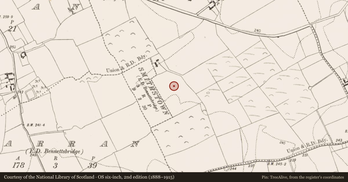 Ordnance Survey six-inch map, 2nd edition (1888–1915) covering the location of Burnt mound, Smithstown, County Kilkenny, with a pin at the register's coordinates