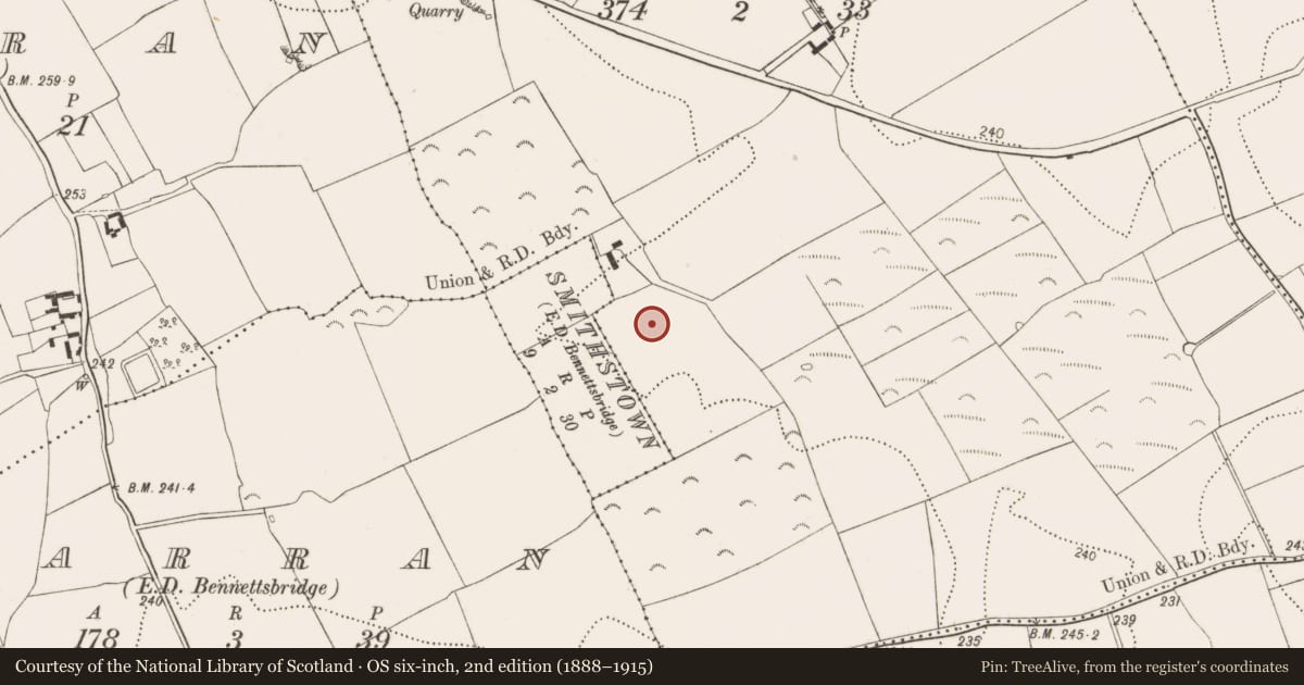 Ordnance Survey six-inch map, 2nd edition (1888–1915) covering the location of Excavation - miscellaneous, Smithstown, County Kilkenny, with a pin at the register's coordinates