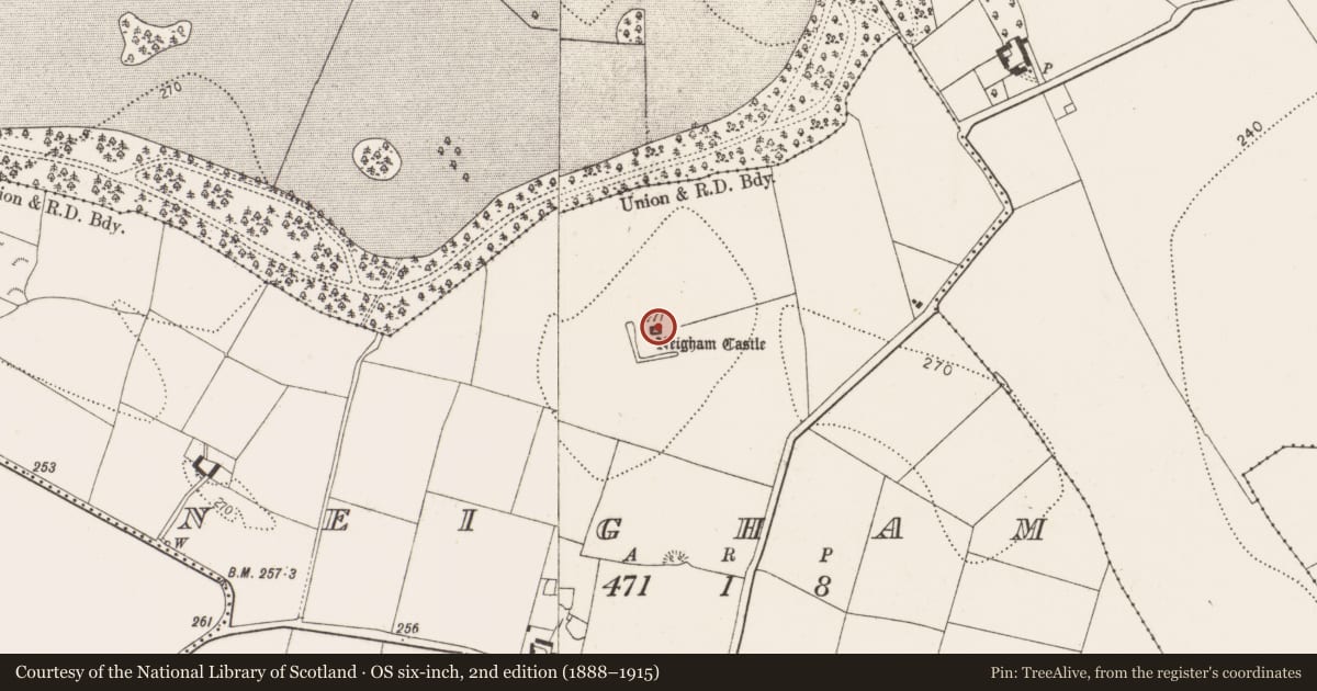 Ordnance Survey six-inch map, 2nd edition (1888–1915) covering the location of Castle - tower house, Neigham, County Kilkenny, with a pin at the register's coordinates
