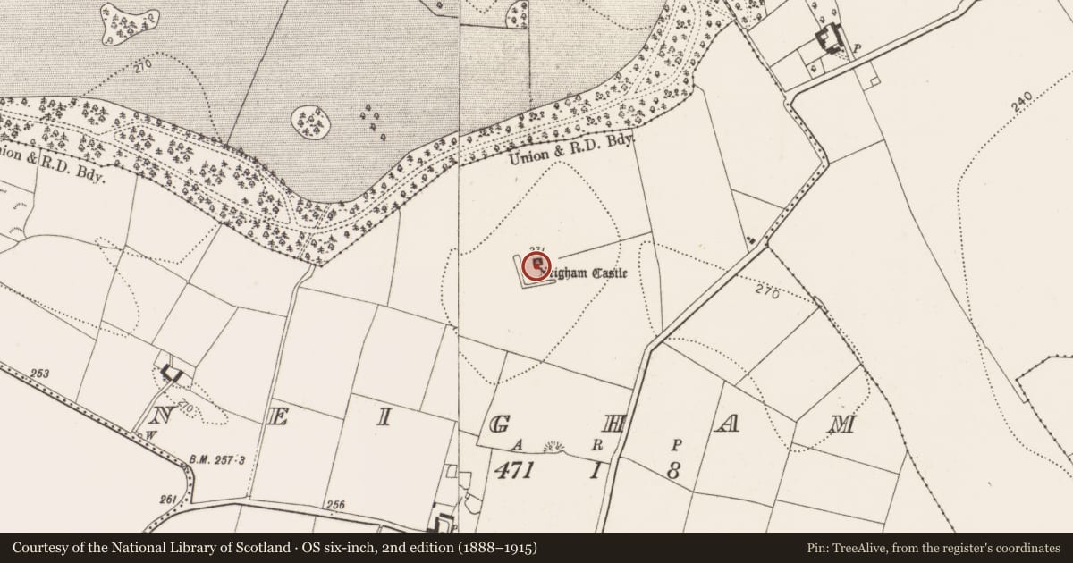 Ordnance Survey six-inch map, 2nd edition (1888–1915) covering the location of Bawn, Neigham, County Kilkenny, with a pin at the register's coordinates