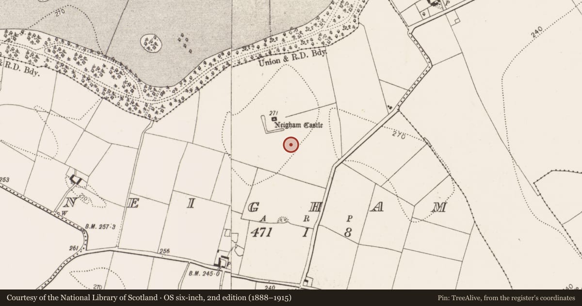 Ordnance Survey six-inch map, 2nd edition (1888–1915) covering the location of Road - road/trackway, Neigham, County Kilkenny, with a pin at the register's coordinates