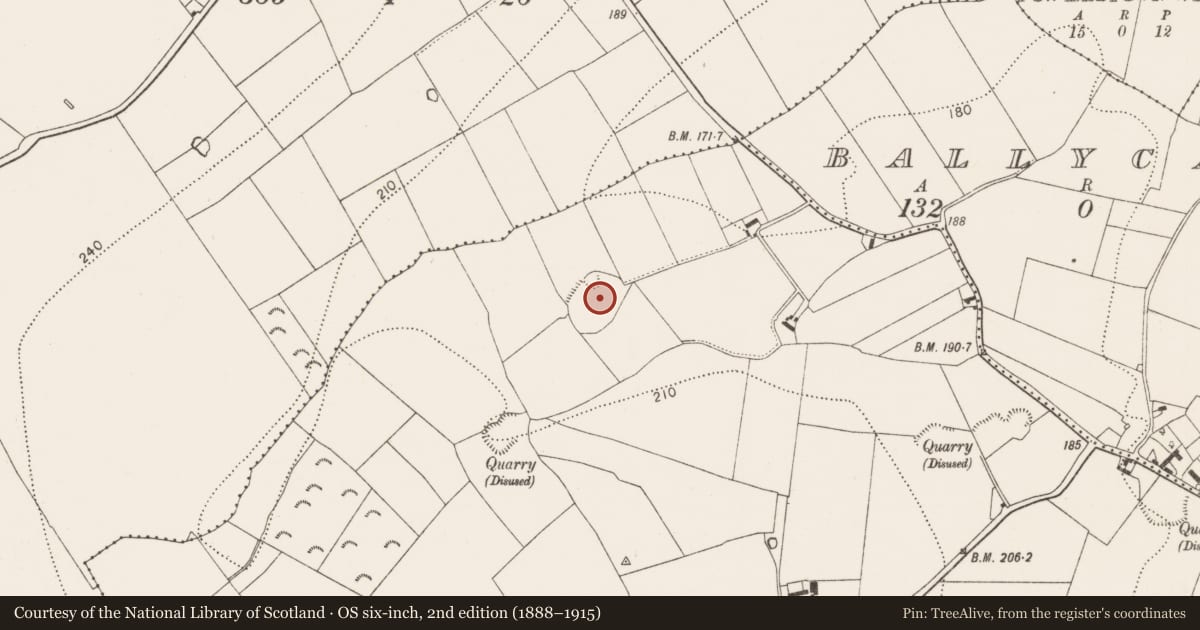 Ordnance Survey six-inch map, 2nd edition (1888–1915) covering the location of Enclosure, Courtnaboghilla, County Kilkenny, with a pin at the register's coordinates