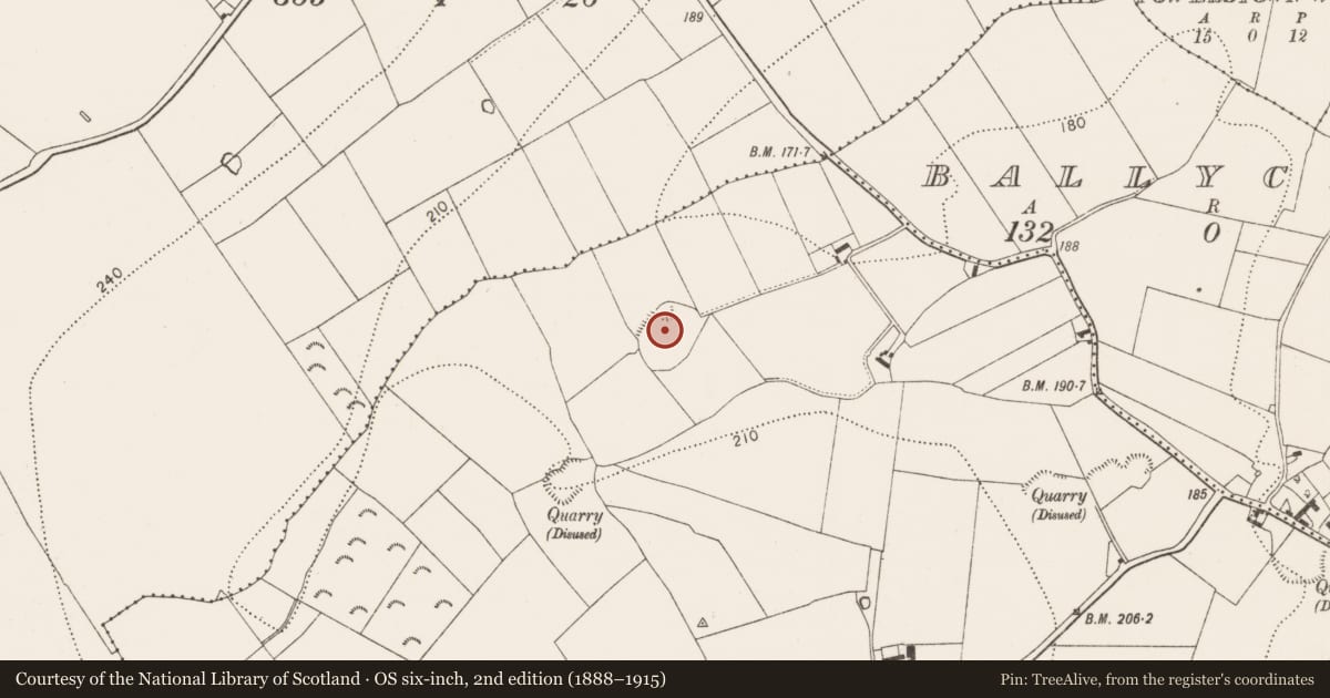Ordnance Survey six-inch map, 2nd edition (1888–1915) covering the location of Burial, Courtnaboghilla, County Kilkenny, with a pin at the register's coordinates