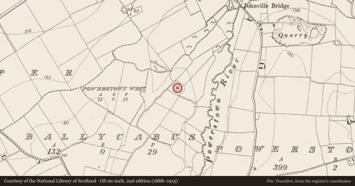 Ordnance Survey six-inch map, 2nd edition (1888–1915) covering the location of Enclosure, Ballycabus, County Kilkenny, with a pin at the register's coordinates
