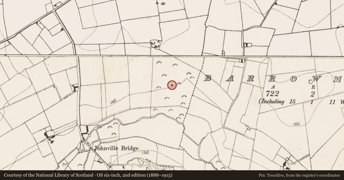 Ordnance Survey six-inch map, 2nd edition (1888–1915) covering the location of Cist, Grange Lower, County Kilkenny, with a pin at the register's coordinates