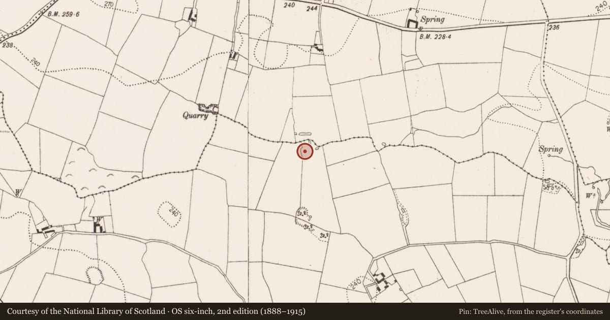 Ordnance Survey six-inch map, 2nd edition (1888–1915) covering the location of Enclosure, Bramblestown, County Kilkenny, with a pin at the register's coordinates