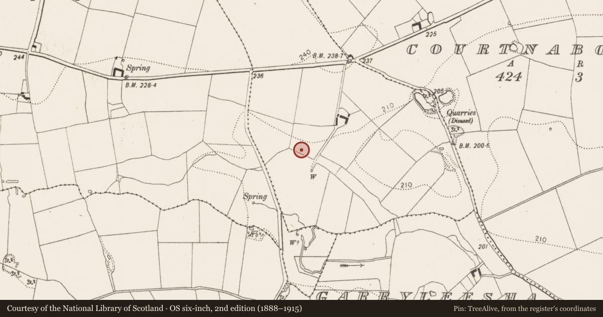 Ordnance Survey six-inch map, 2nd edition (1888–1915) covering the location of Fulacht fia, Grange Upper, County Kilkenny, with a pin at the register's coordinates