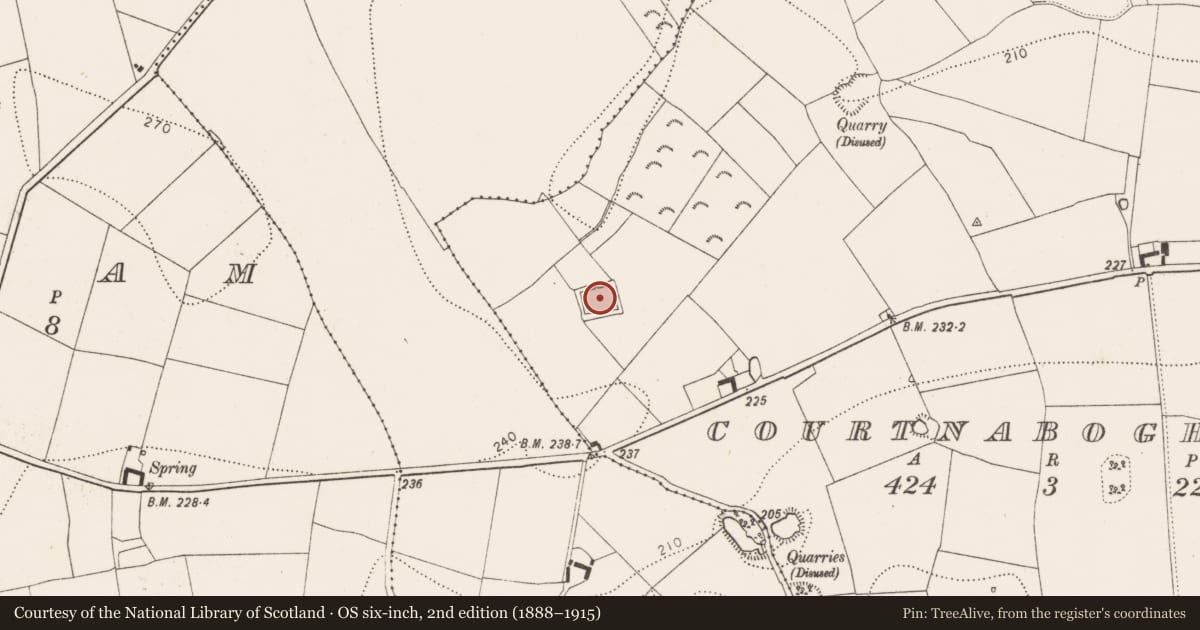 Ordnance Survey six-inch map, 2nd edition (1888–1915) covering the location of Moated site, Courtnaboghilla, County Kilkenny, with a pin at the register's coordinates