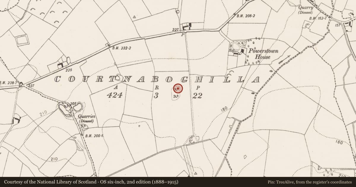 Ordnance Survey six-inch map, 2nd edition (1888–1915) covering the location of Enclosure, Courtnaboghilla, County Kilkenny, with a pin at the register's coordinates
