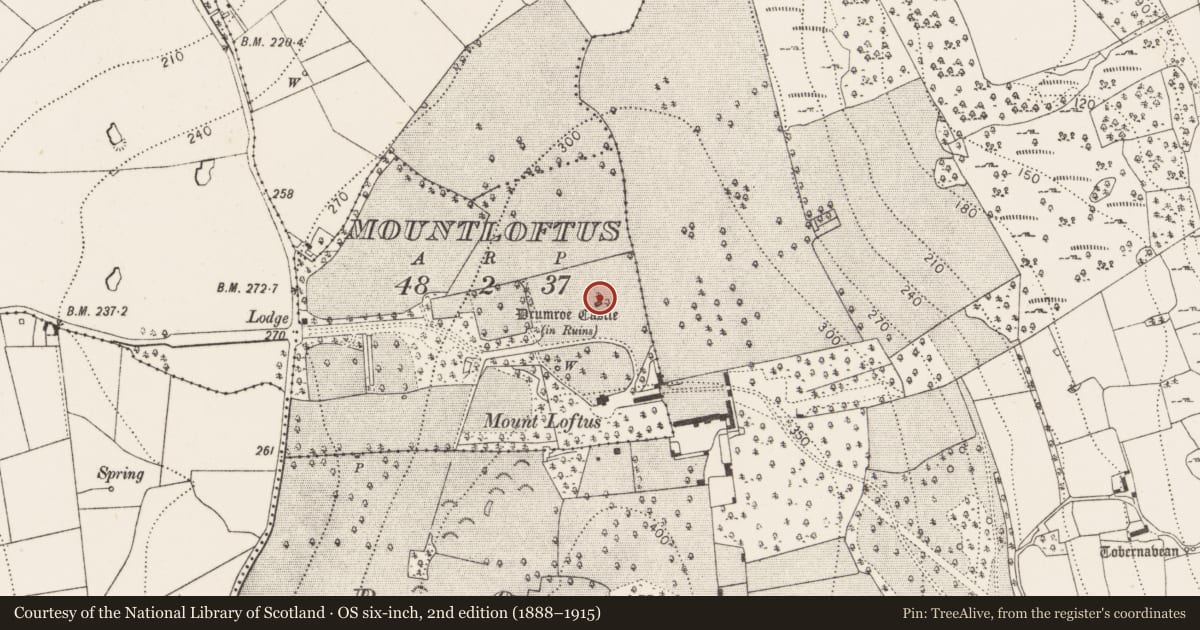 Ordnance Survey six-inch map, 2nd edition (1888–1915) covering the location of Castle - unclassified, Mountloftus, County Kilkenny, with a pin at the register's coordinates