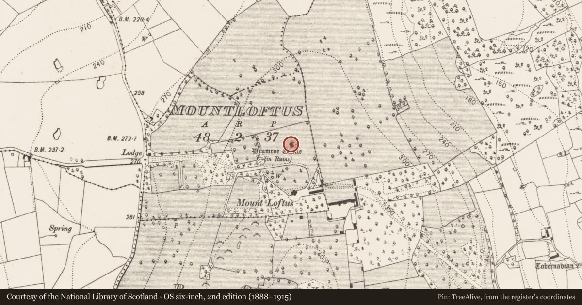 Ordnance Survey six-inch map, 2nd edition (1888–1915) covering the location of Enclosure, Mountloftus, County Kilkenny, with a pin at the register's coordinates