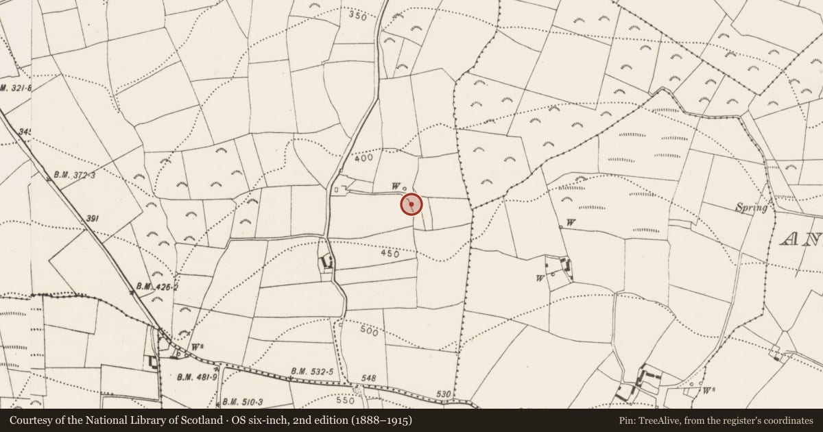 Ordnance Survey six-inch map, 2nd edition (1888–1915) covering the location of Fulacht fia, Bramblestown, County Kilkenny, with a pin at the register's coordinates
