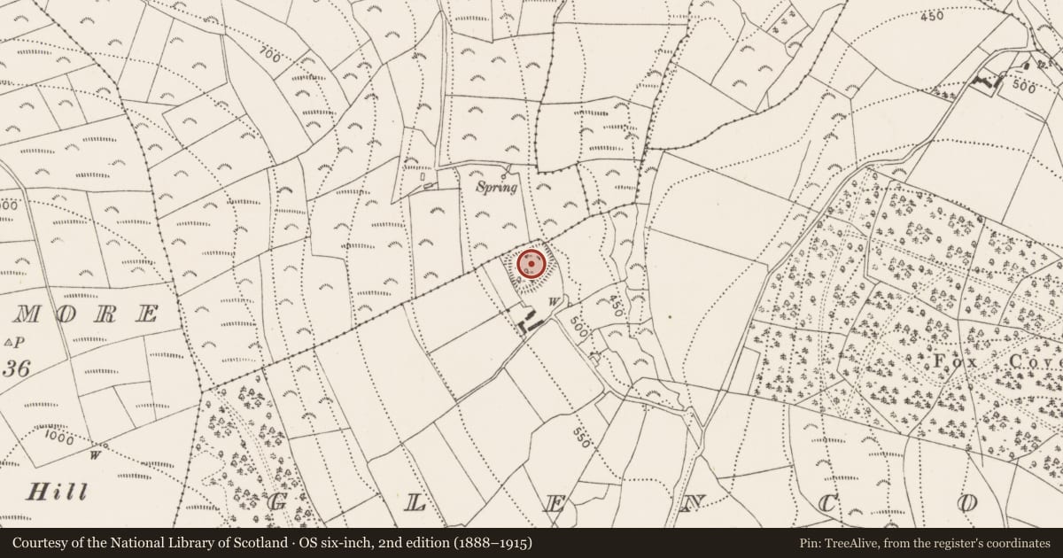 Ordnance Survey six-inch map, 2nd edition (1888–1915) covering the location of Enclosure - large enclosure, Glencoum, County Kilkenny, with a pin at the register's coordinates