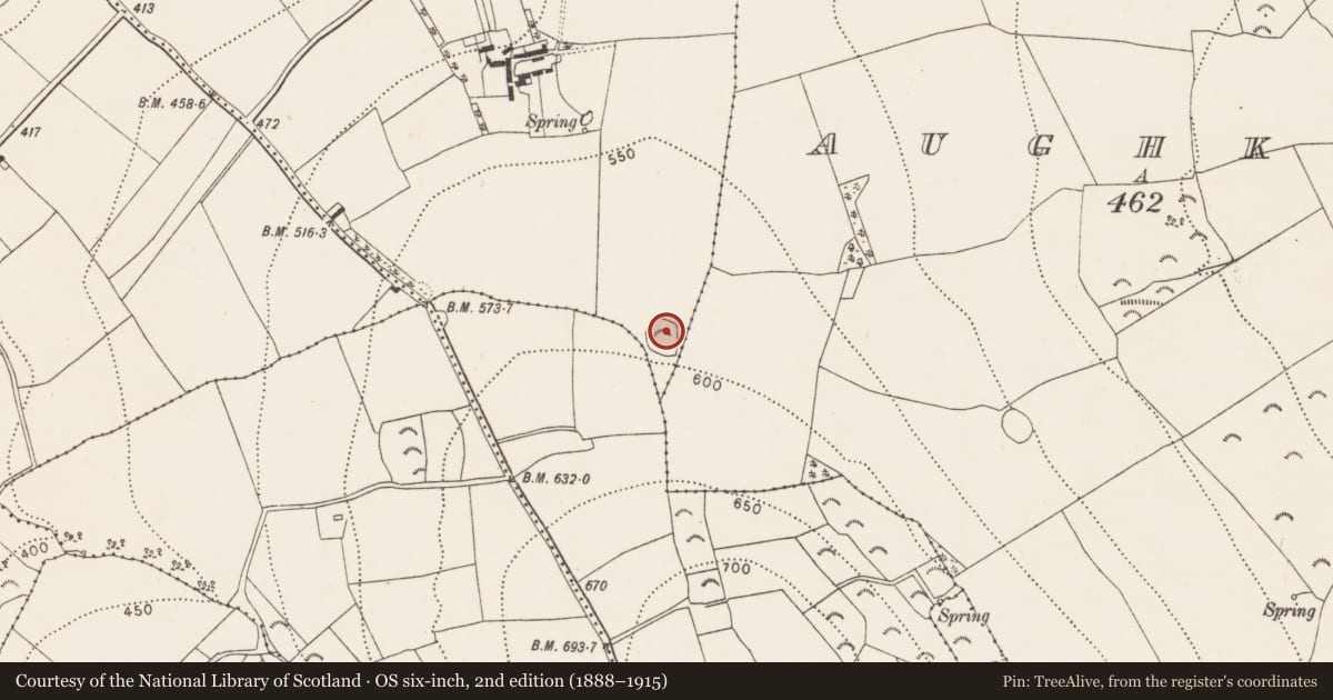 Ordnance Survey six-inch map, 2nd edition (1888–1915) covering the location of Enclosure, Curraghlane Upper, County Kilkenny, with a pin at the register's coordinates