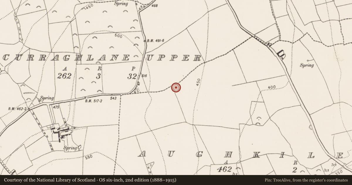 Ordnance Survey six-inch map, 2nd edition (1888–1915) covering the location of Enclosure, Aughkiletaun, County Kilkenny, with a pin at the register's coordinates