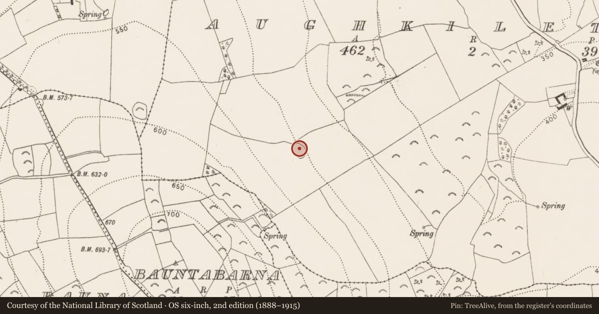 Ordnance Survey six-inch map, 2nd edition (1888–1915) covering the location of Enclosure, Aughkiletaun, County Kilkenny, with a pin at the register's coordinates