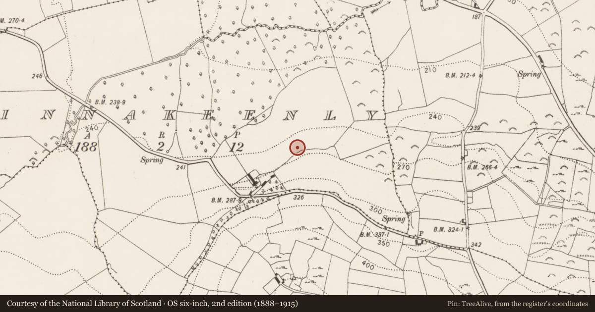 Ordnance Survey six-inch map, 2nd edition (1888–1915) covering the location of Rock art, Tinnakeenly, County Kilkenny, with a pin at the register's coordinates