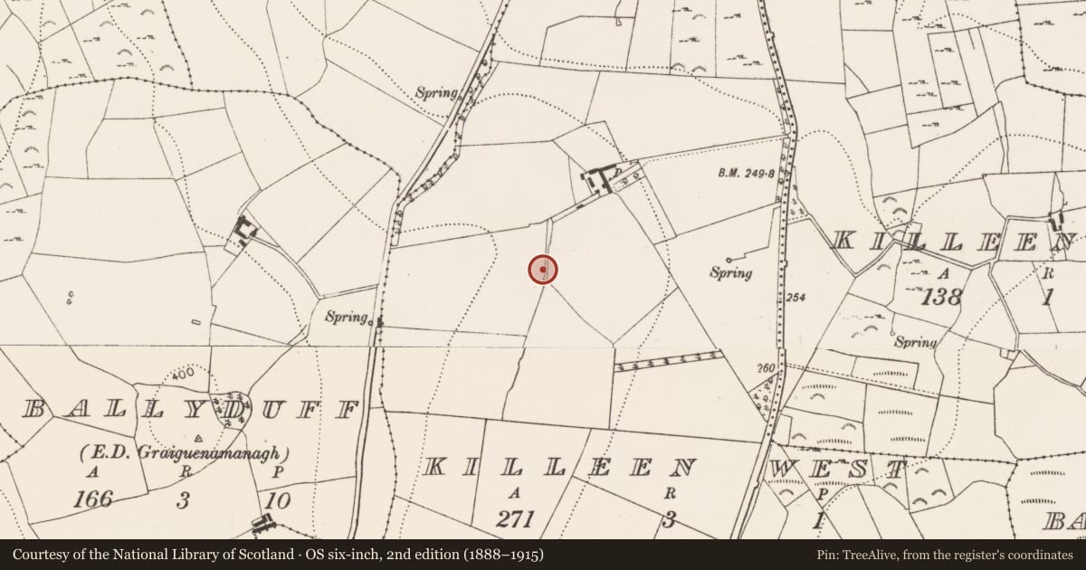 Ordnance Survey six-inch map, 2nd edition (1888–1915) covering the location of Burial ground, Killeen West, County Kilkenny, with a pin at the register's coordinates