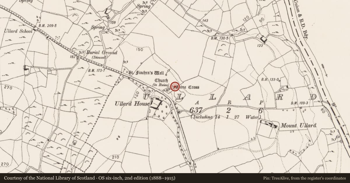 Ordnance Survey six-inch map, 2nd edition (1888–1915) covering the location of Cross - High cross, Ullard, County Kilkenny, with a pin at the register's coordinates