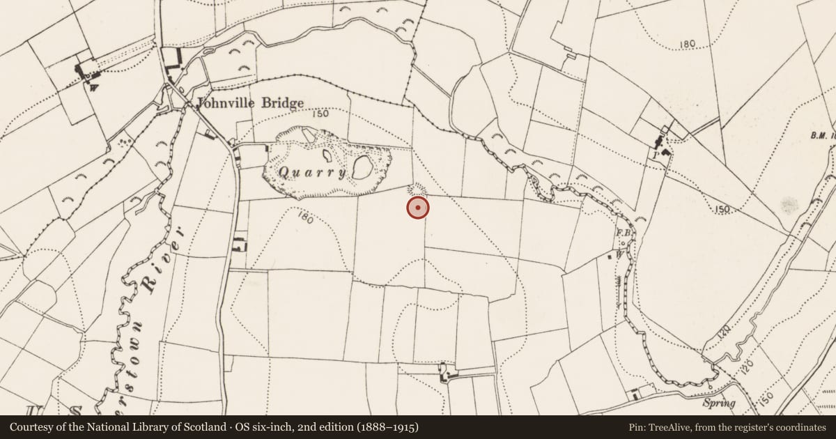 Ordnance Survey six-inch map, 2nd edition (1888–1915) covering the location of Kiln - corn-drying, Powerstown East, County Kilkenny, with a pin at the register's coordinates