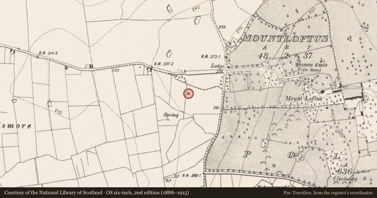Ordnance Survey six-inch map, 2nd edition (1888–1915) covering the location of Enclosure, Gorteen, County Kilkenny, with a pin at the register's coordinates