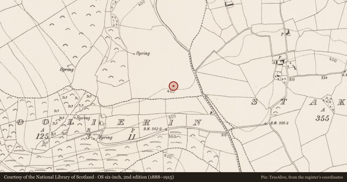 Ordnance Survey six-inch map, 2nd edition (1888–1915) covering the location of Enclosure, Aughkiletaun, County Kilkenny, with a pin at the register's coordinates