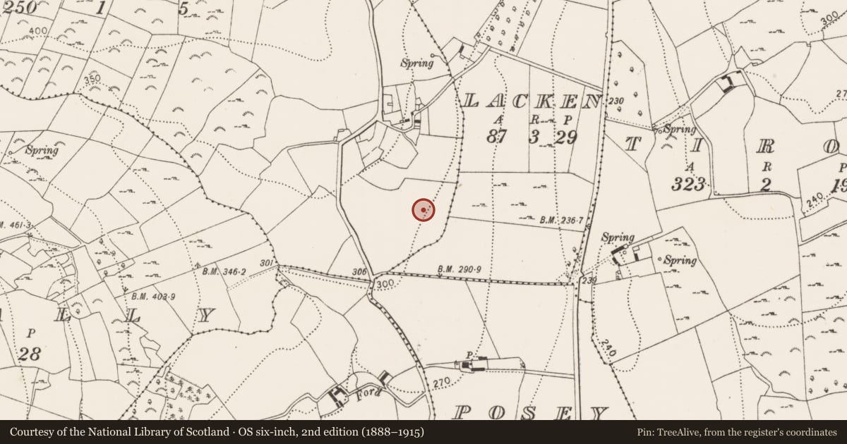 Ordnance Survey six-inch map, 2nd edition (1888–1915) covering the location of Enclosure, Griffinstown, County Kilkenny, with a pin at the register's coordinates