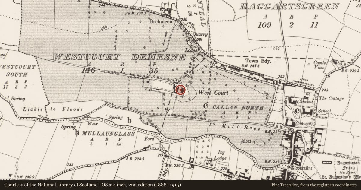 Ordnance Survey six-inch map, 2nd edition (1888–1915) covering the location of Castle - unclassified, Westcourt Demesne, County Kilkenny, with a pin at the register's coordinates