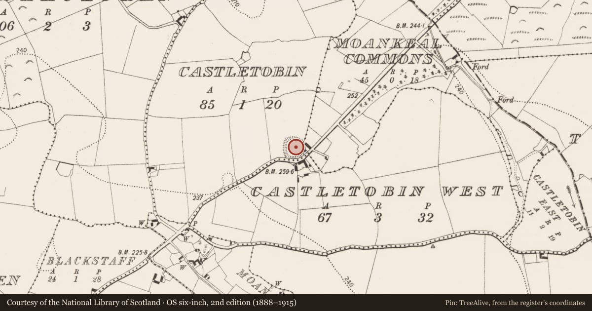 Ordnance Survey six-inch map, 2nd edition (1888–1915) covering the location of Castle - ringwork, Castletobin, County Kilkenny, with a pin at the register's coordinates