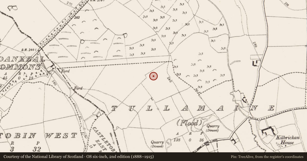 Ordnance Survey six-inch map, 2nd edition (1888–1915) covering the location of Enclosure, Tullamaine (Flood), County Kilkenny, with a pin at the register's coordinates