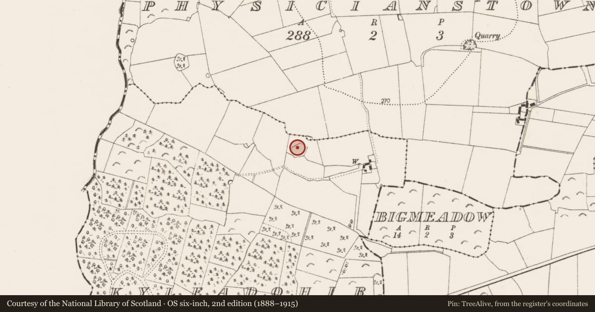 Ordnance Survey six-inch map, 2nd edition (1888–1915) covering the location of Enclosure, Kyleadohir, County Kilkenny, with a pin at the register's coordinates