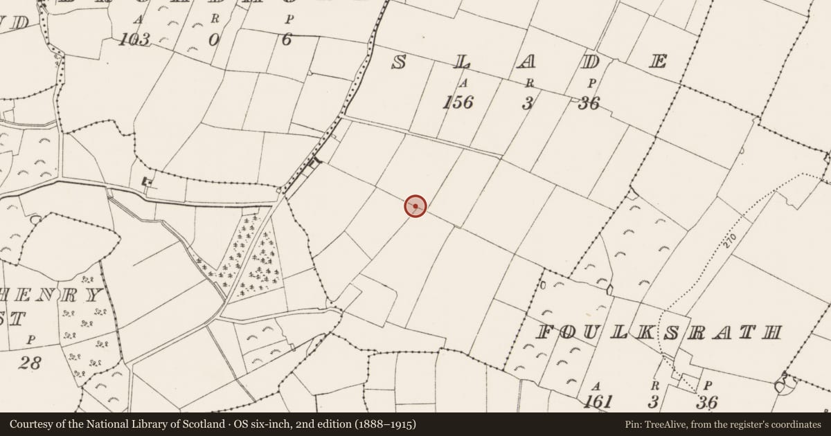 Ordnance Survey six-inch map, 2nd edition (1888–1915) covering the location of Coffin-resting stone, Slade, County Kilkenny, with a pin at the register's coordinates