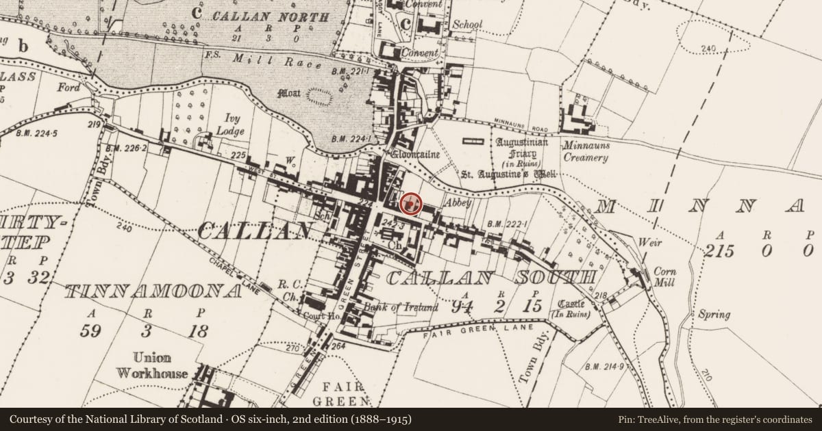 Ordnance Survey six-inch map, 2nd edition (1888–1915) covering the location of Historic town, County Kilkenny, with a pin at the register's coordinates