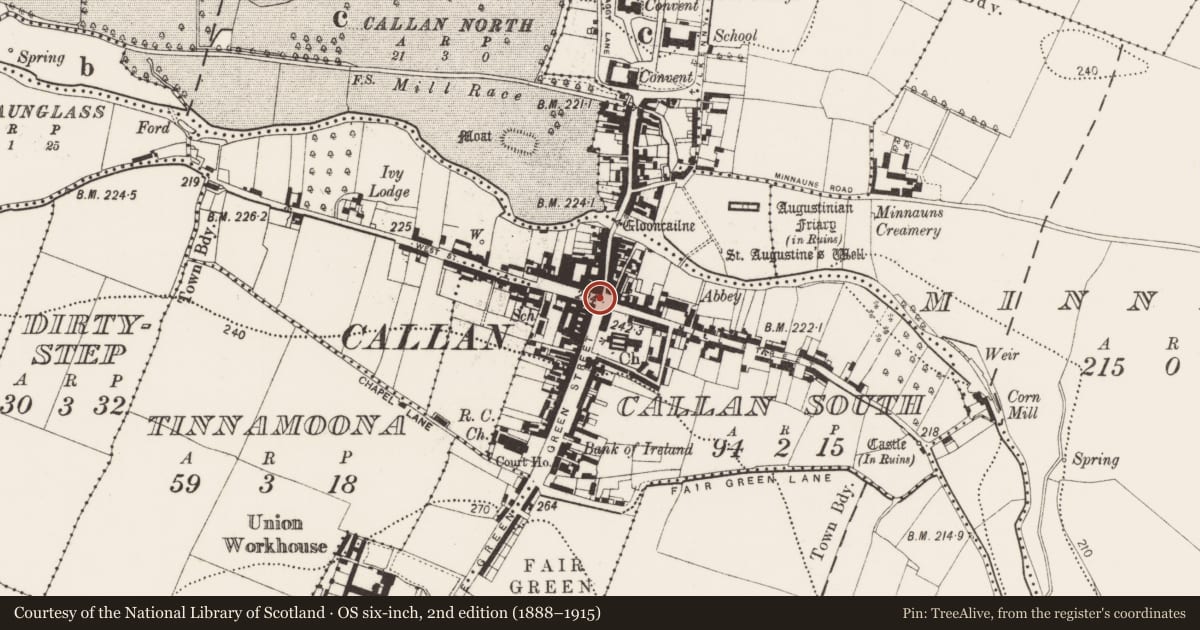 Ordnance Survey six-inch map, 2nd edition (1888–1915) covering the location of Cross - Market cross, Callan South, County Kilkenny, with a pin at the register's coordinates