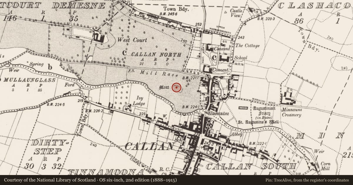 Ordnance Survey six-inch map, 2nd edition (1888–1915) covering the location of Castle - motte and bailey, Westcourt Demesne, County Kilkenny, with a pin at the register's coordinates