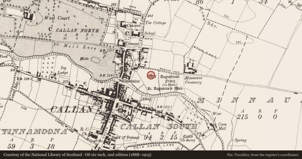 Ordnance Survey six-inch map, 2nd edition (1888–1915) covering the location of Religious house - Augustinian friars, Callan North, County Kilkenny, with a pin at the register's coordinates