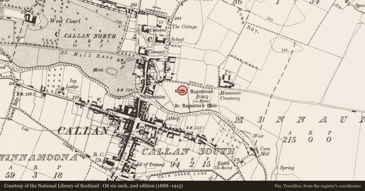 Ordnance Survey six-inch map, 2nd edition (1888–1915) covering the location of Graveslab, Callan North, County Kilkenny, with a pin at the register's coordinates