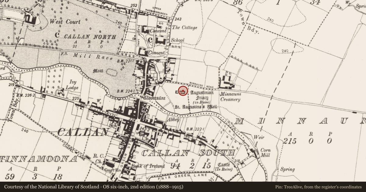 Ordnance Survey six-inch map, 2nd edition (1888–1915) covering the location of Graveslab, Callan North, County Kilkenny, with a pin at the register's coordinates