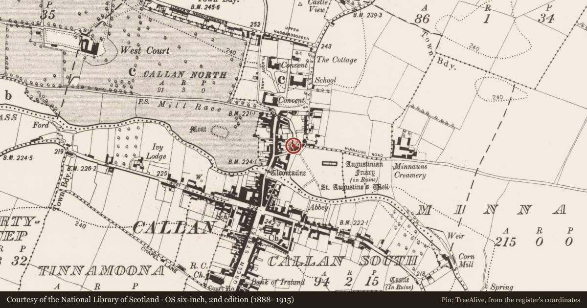 Ordnance Survey six-inch map, 2nd edition (1888–1915) covering the location of Water mill - vertical-wheeled, Callan North, County Kilkenny, with a pin at the register's coordinates