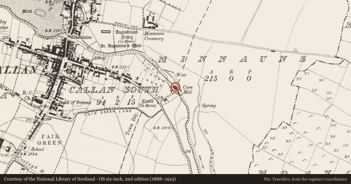 Ordnance Survey six-inch map, 2nd edition (1888–1915) covering the location of Water mill - vertical-wheeled, Minnauns, County Kilkenny, with a pin at the register's coordinates
