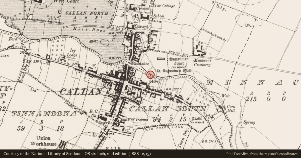 Ordnance Survey six-inch map, 2nd edition (1888–1915) covering the location of Bridge, Callan North, Callan South, County Kilkenny, with a pin at the register's coordinates