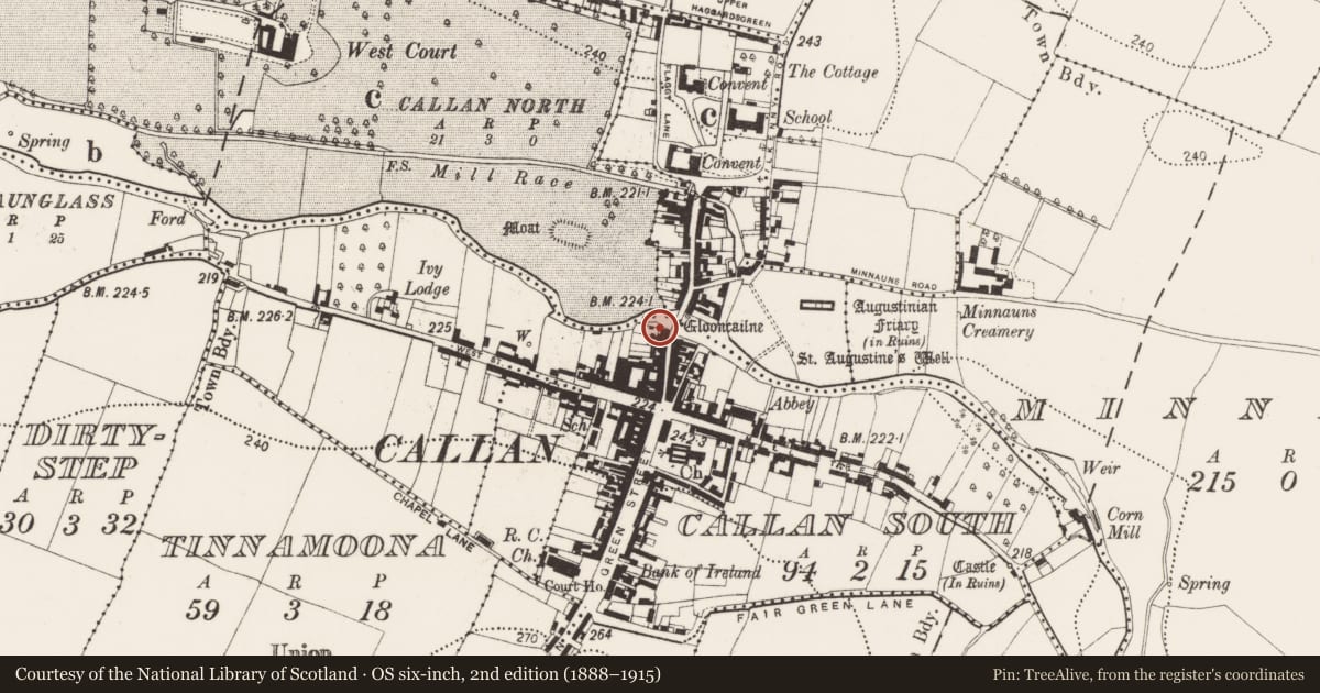 Ordnance Survey six-inch map, 2nd edition (1888–1915) covering the location of Castle - tower house, Callan South, County Kilkenny, with a pin at the register's coordinates