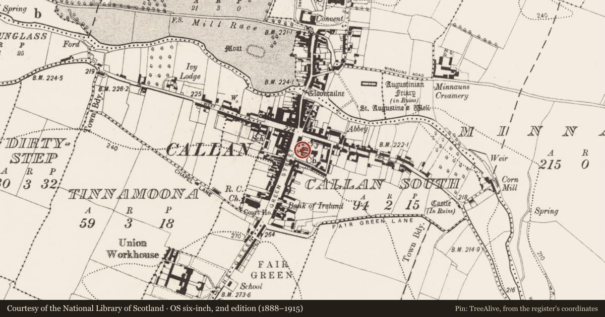 Ordnance Survey six-inch map, 2nd edition (1888–1915) covering the location of Graveslab, Callan South, County Kilkenny, with a pin at the register's coordinates